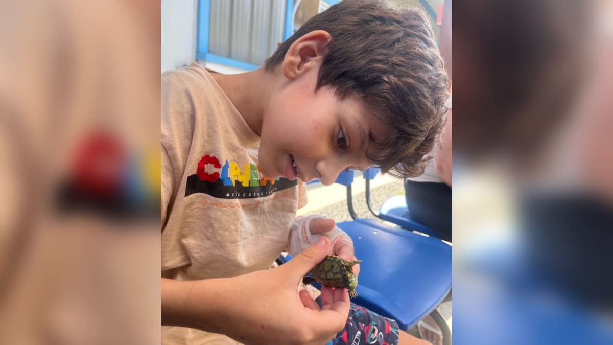 Hospital Regional Ruth Cardoso realiza encontro entre criança internada e sua tartaruga de estimação