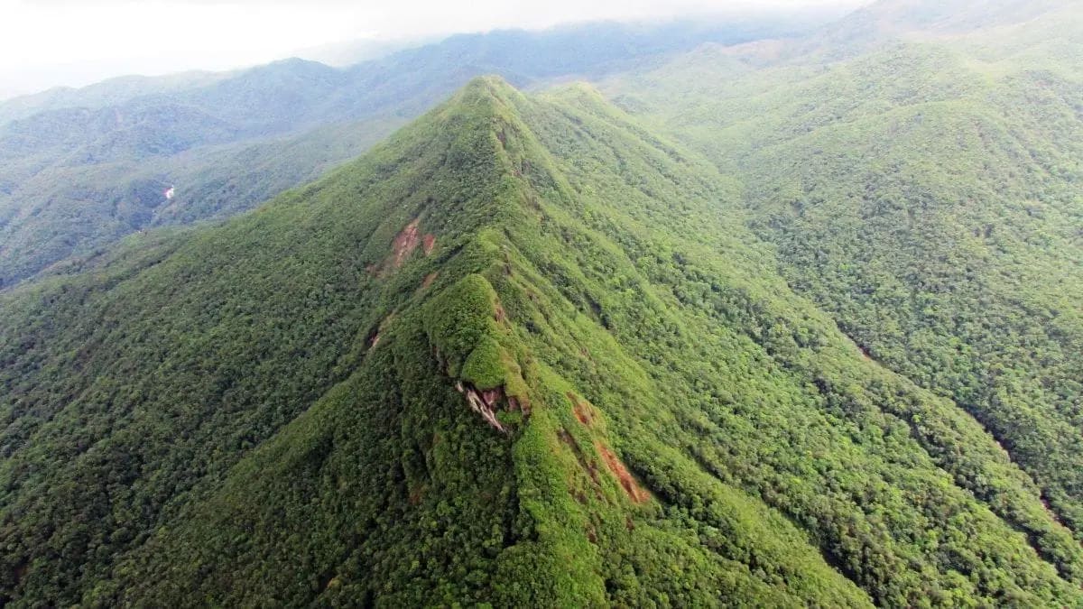 Homem perdido na trilha do Monte Crista em Garuva sai por conta própria após buscas