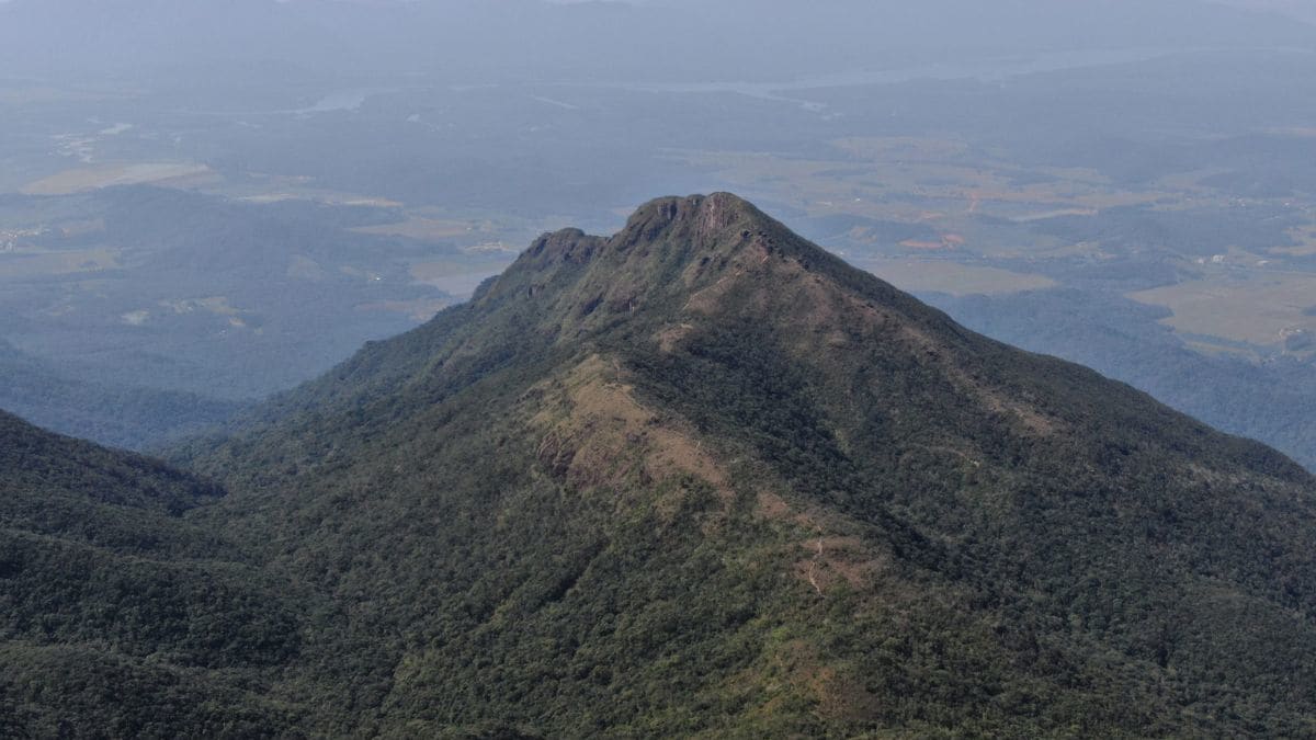 Homem perdido em trilha do Monte Crista é encontrado após chegar à BR-101 em SC