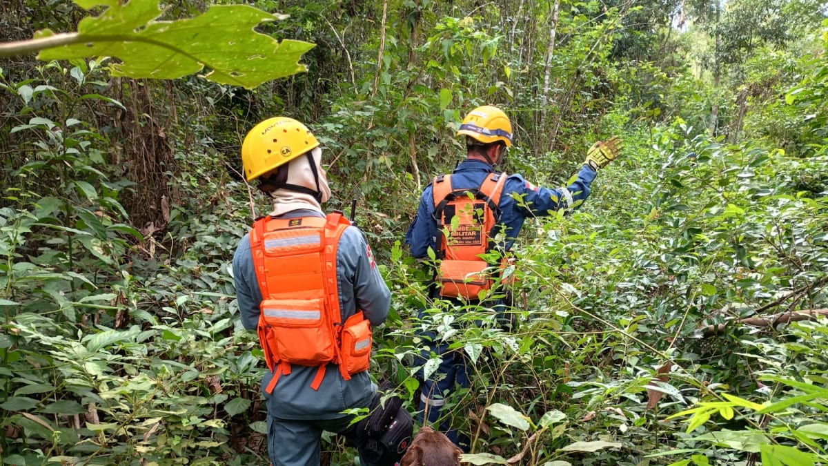 Homem é encontrado morto após 10 dias desaparecido em Nova Veneza