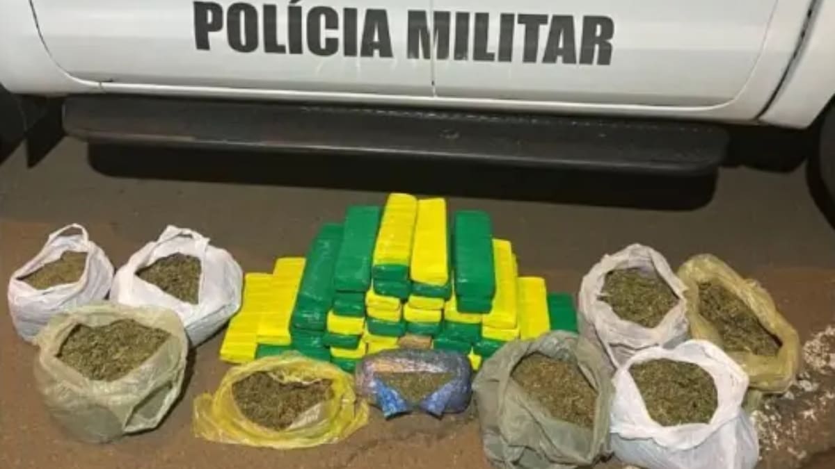Carga de maconha escondida com pó de café é descoberta em ônibus em SC