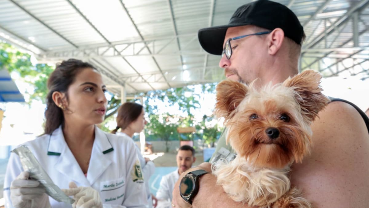 Joinville realiza mutirão gratuito de microchipagem e vacinação antirrábica no Jardim Paraíso