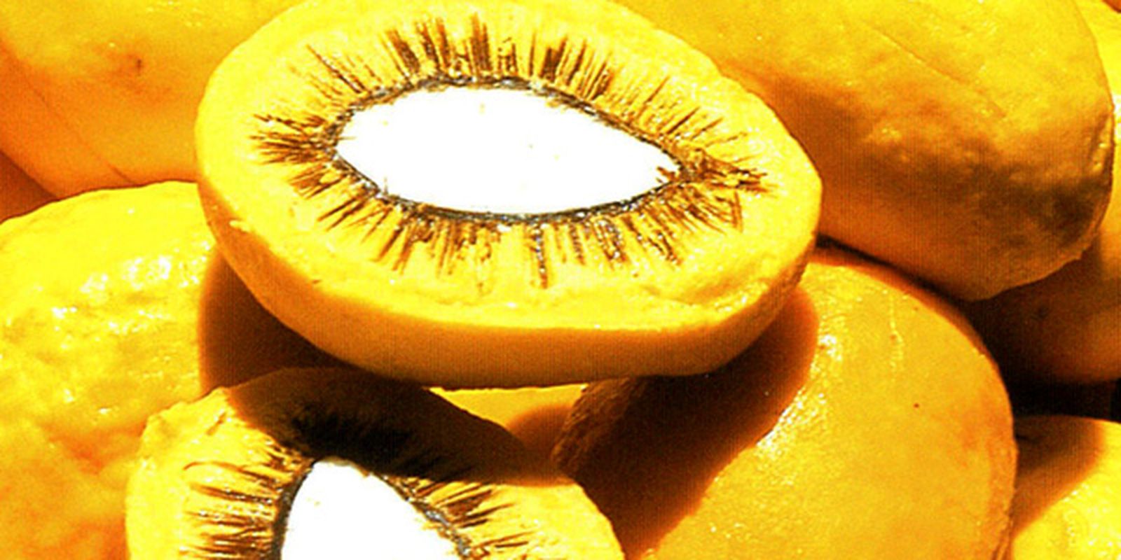 Feira Brasil na Mesa destaca riqueza alimentar e inovação em Brasília