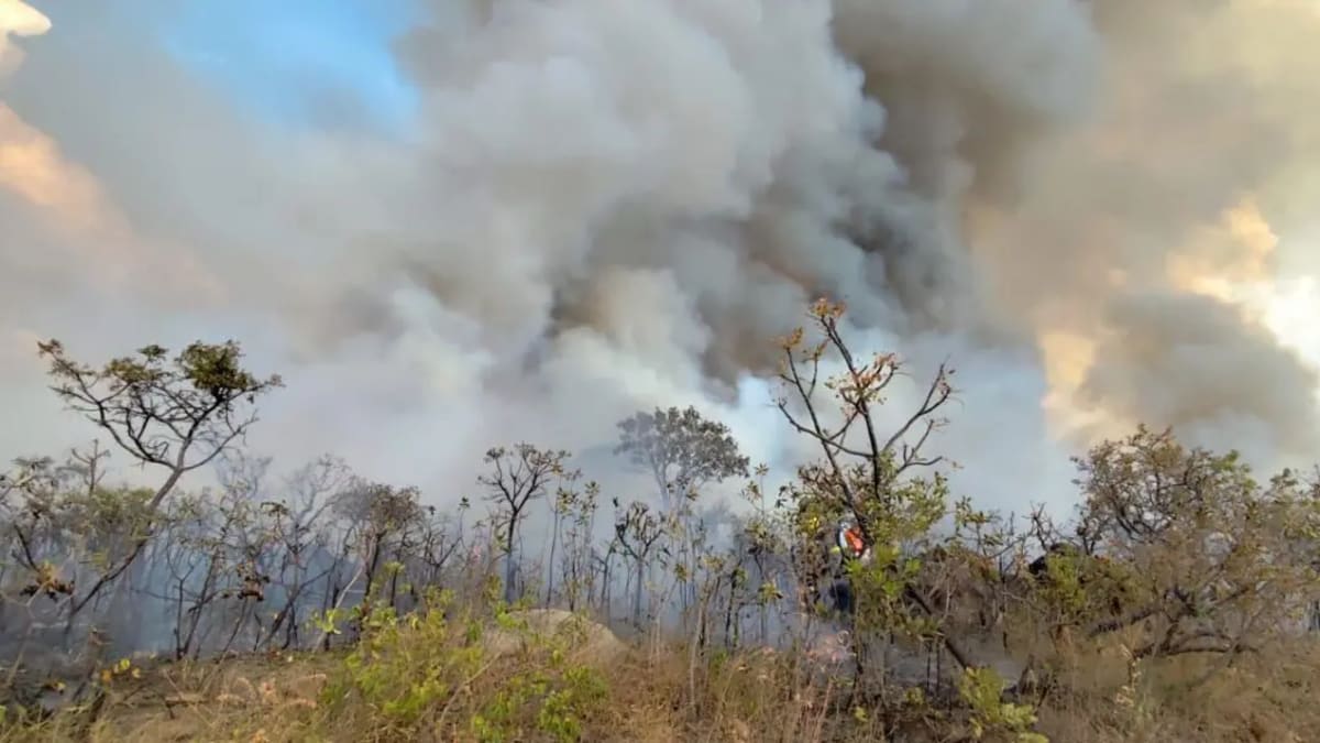 Semad lança projeto para pagamento a brigadistas comunitários no combate a incêndios no Nordeste goiano
