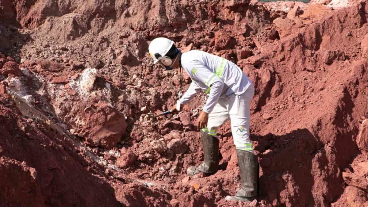 Ministro afirma que acordo de Goiás com EUA sobre terras raras pode ser inconstitucional