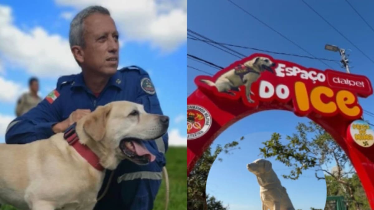 Itajaí inaugura praça em homenagem ao cão Ice, primeiro guarda-vidas do Brasil