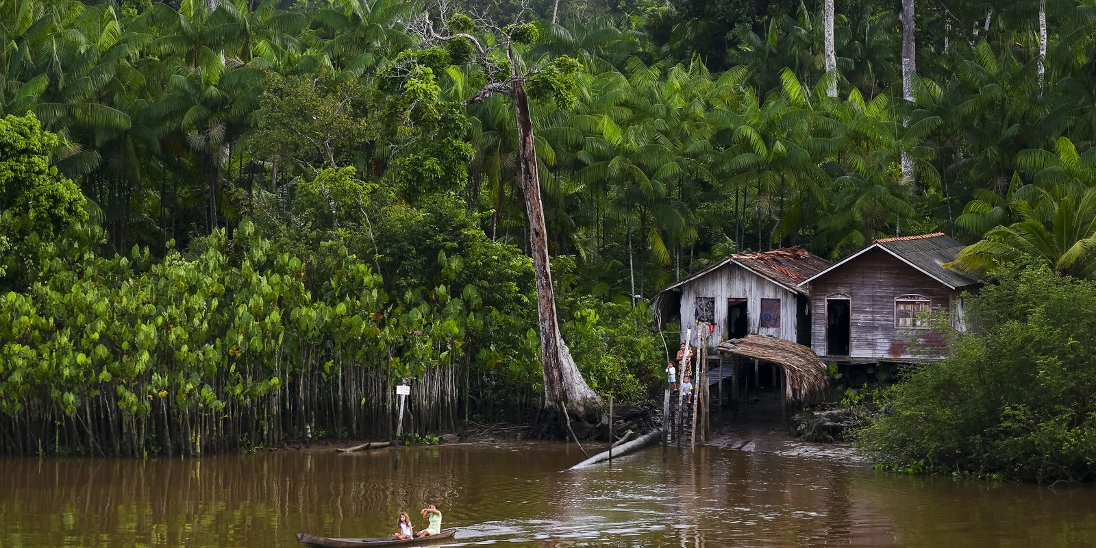 Doença rara afeta seringueiro no Acre