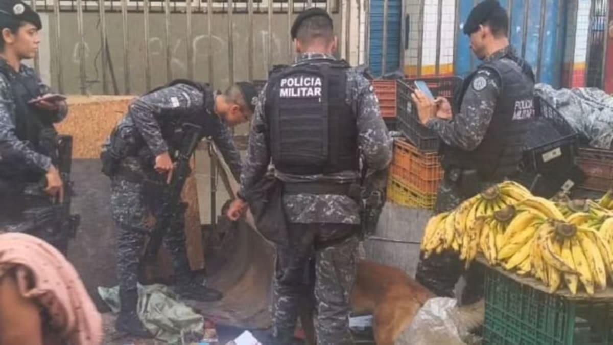 Drogas são apreendidas em barraca de frutas na Avenida Joana Angélica, Salvador