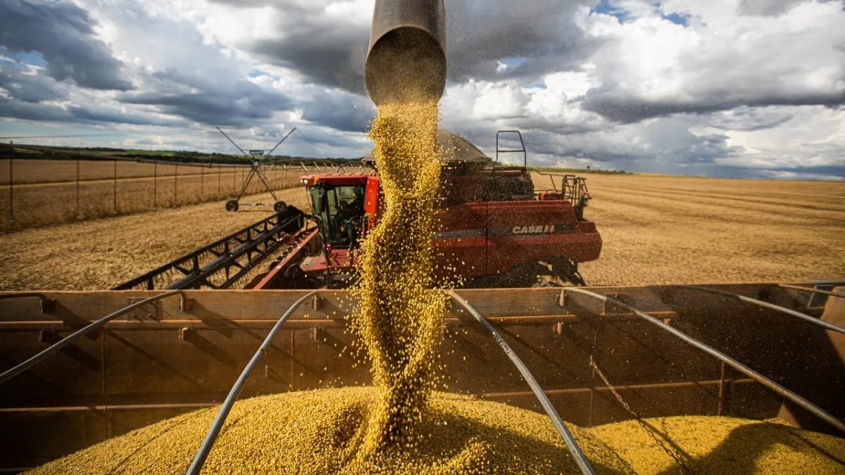Acordo Mercosul-União Europeia entra em vigor e amplia exportações de Goiás