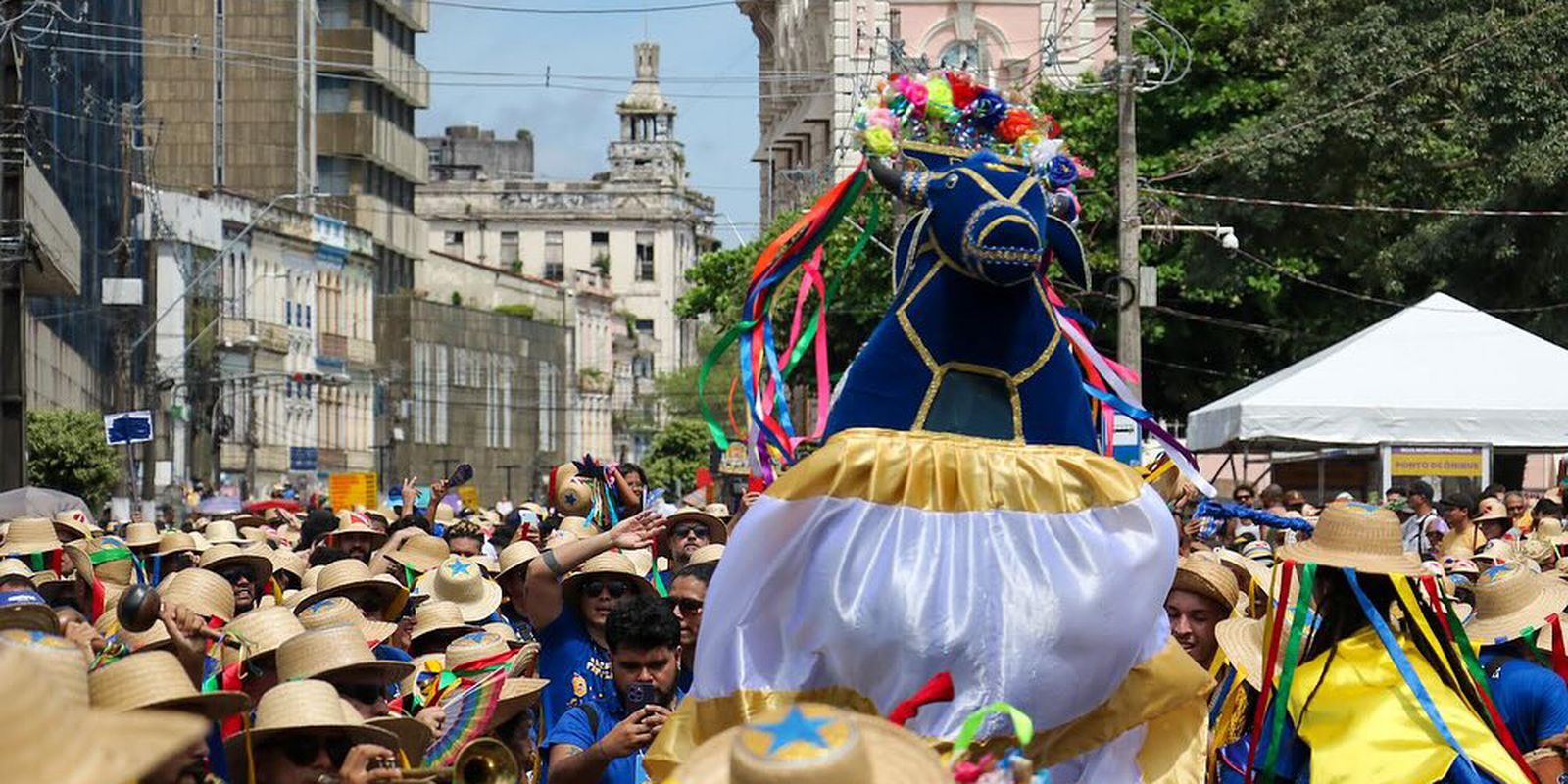 Arraial do Pavulagem anuncia datas e oficinas para edição 2024