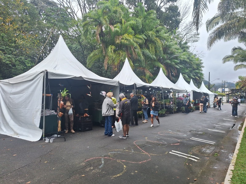 Festival de Orquídeas de Santos começa nesta sexta-feira no Jardim Botânico