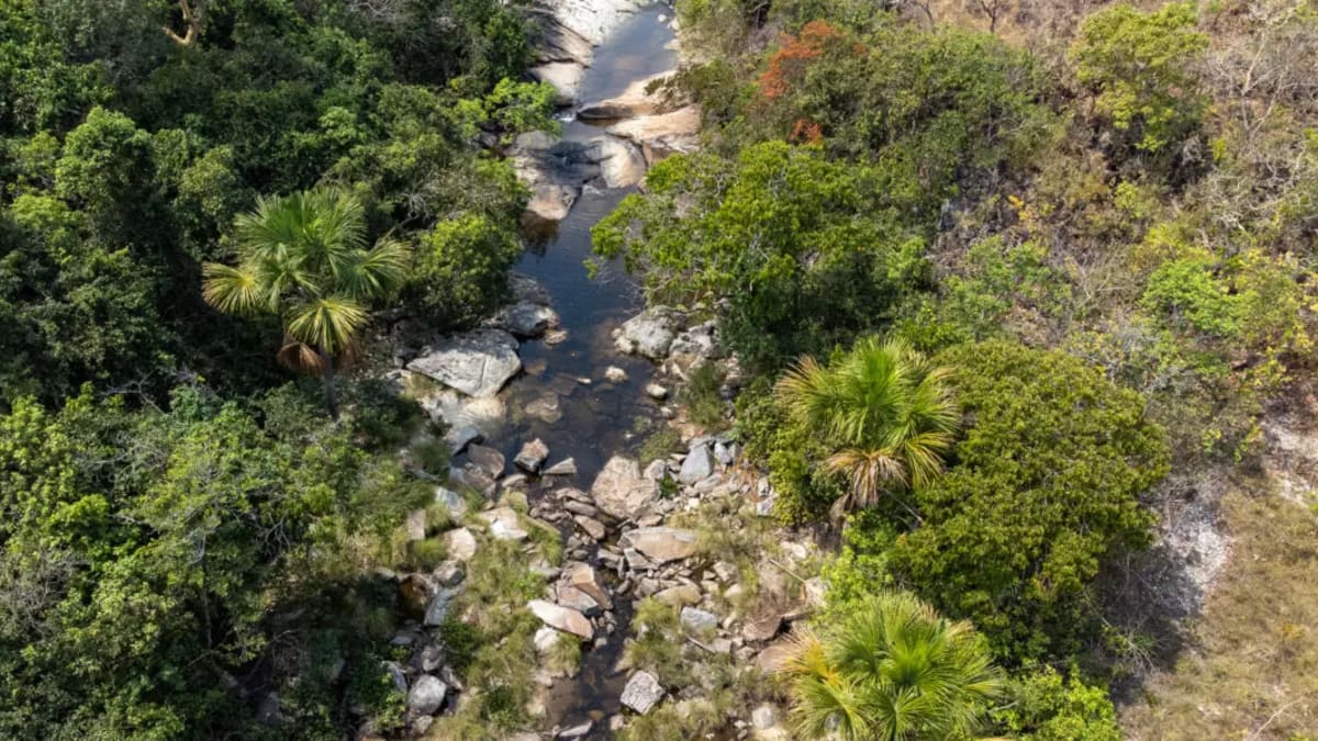 Vinte municípios de Goiás participam de plano de adaptação às mudanças climáticas