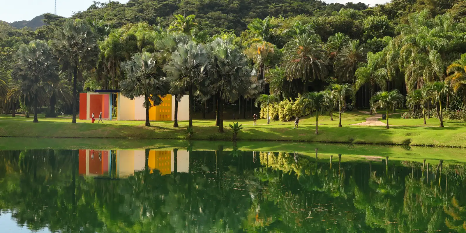 Inhotim inaugura exposições em comemoração aos 20 anos