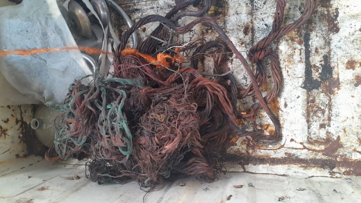 Homem é preso furtando cabos de energia de semáforo em São Cristóvão