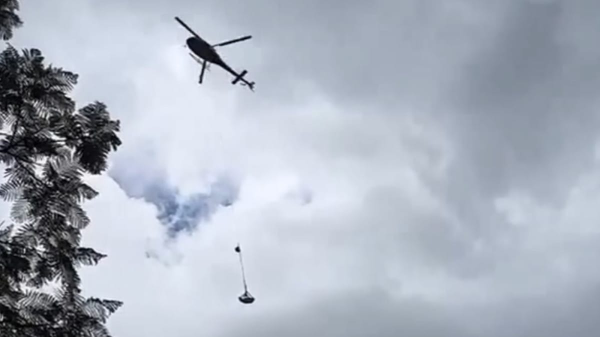 Homem de 53 anos é encontrado morto em área de mata no Maciambu Pequeno, Palhoça