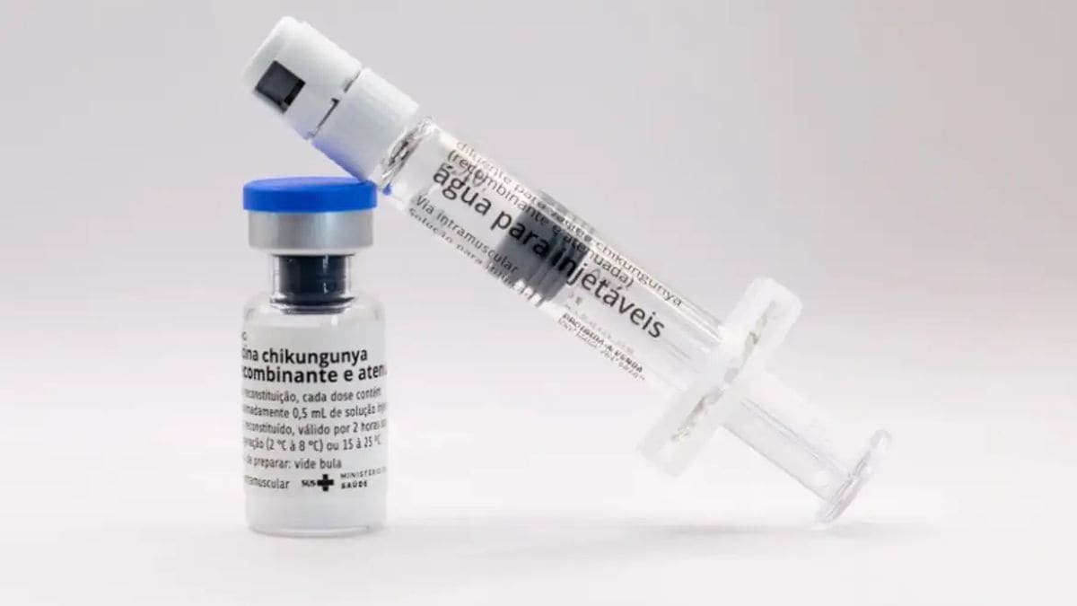 Anvisa autoriza produção da vacina contra chikungunya no Instituto Butantan