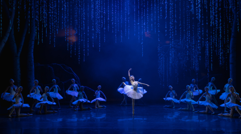 Bertioga promove workshops com a São Paulo Companhia de Dança e leva alunos ao 'O Lago dos Cisnes'