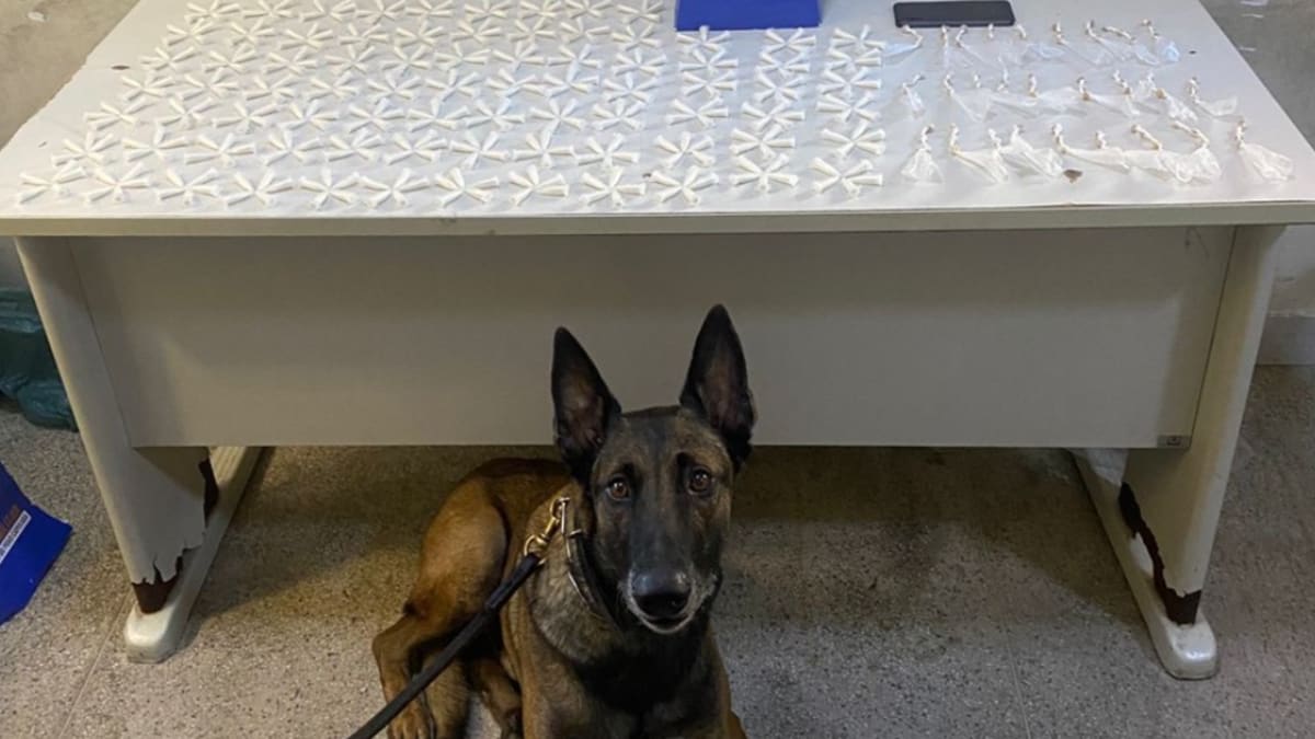 Polícia Militar prende suspeitos, apreende drogas e recupera moto em Guarapari