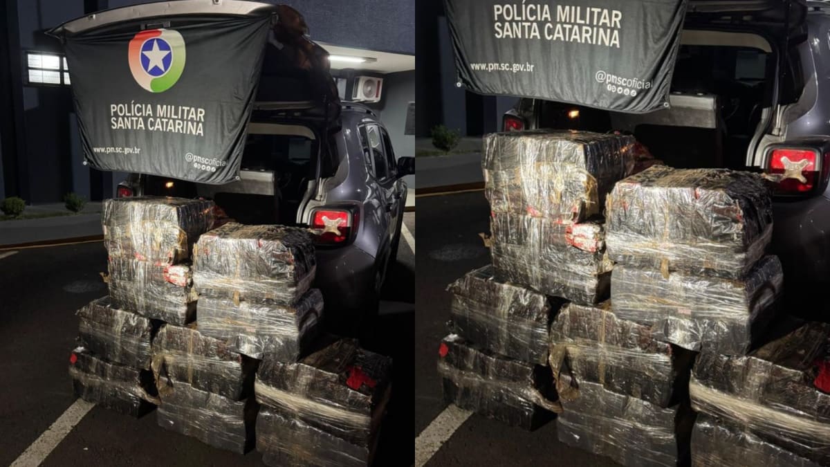 Mais de 300 kg de maconha são encontrados em motel às margens de rodovia em SC