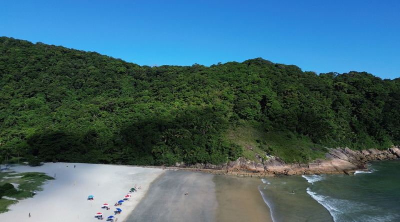 Prefeitura de Guarujá abre cadastramento para instituições ambientalistas participarem do Comdema