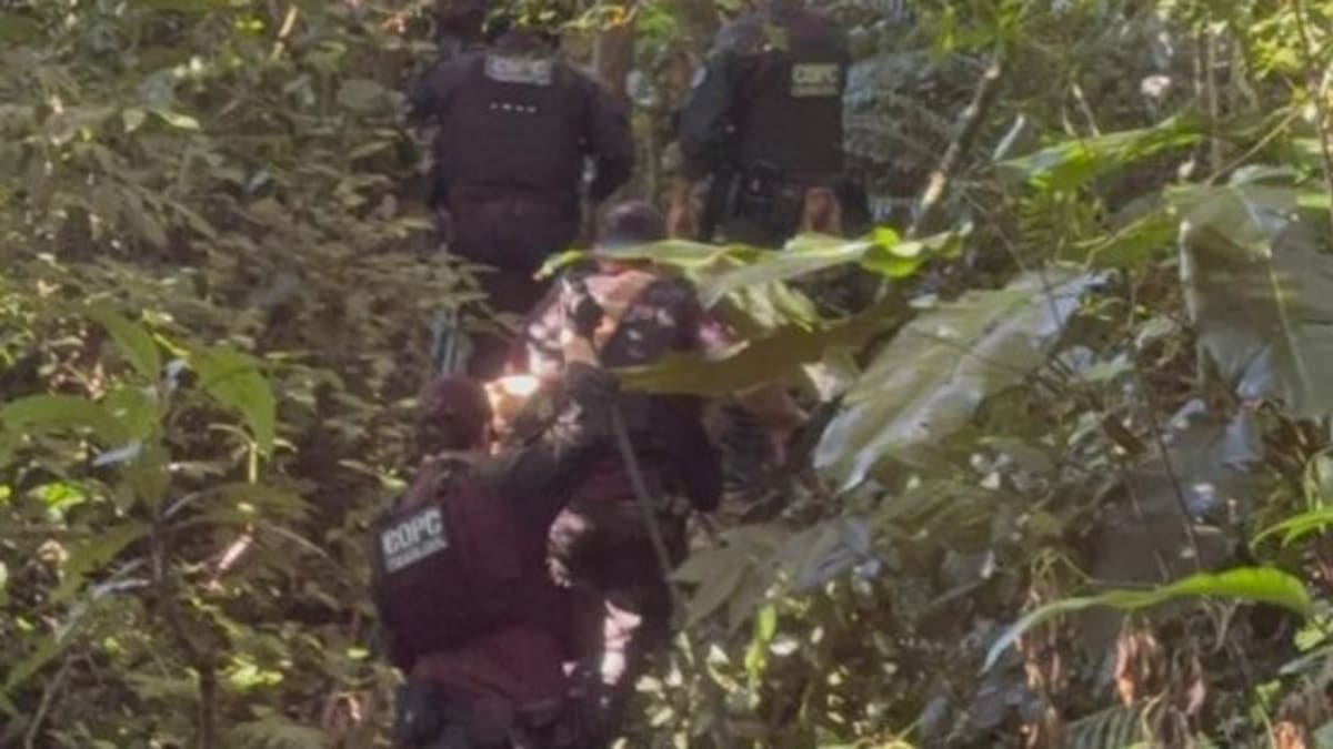 Polícia Civil realiza buscas em mata atlântica para localizar restos mortais em São José