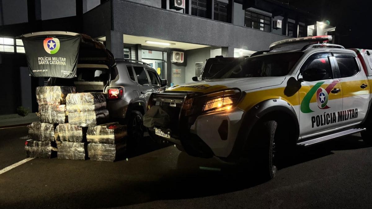 Mais de 300 kg de maconha são apreendidos em motel às margens de rodovia em SC