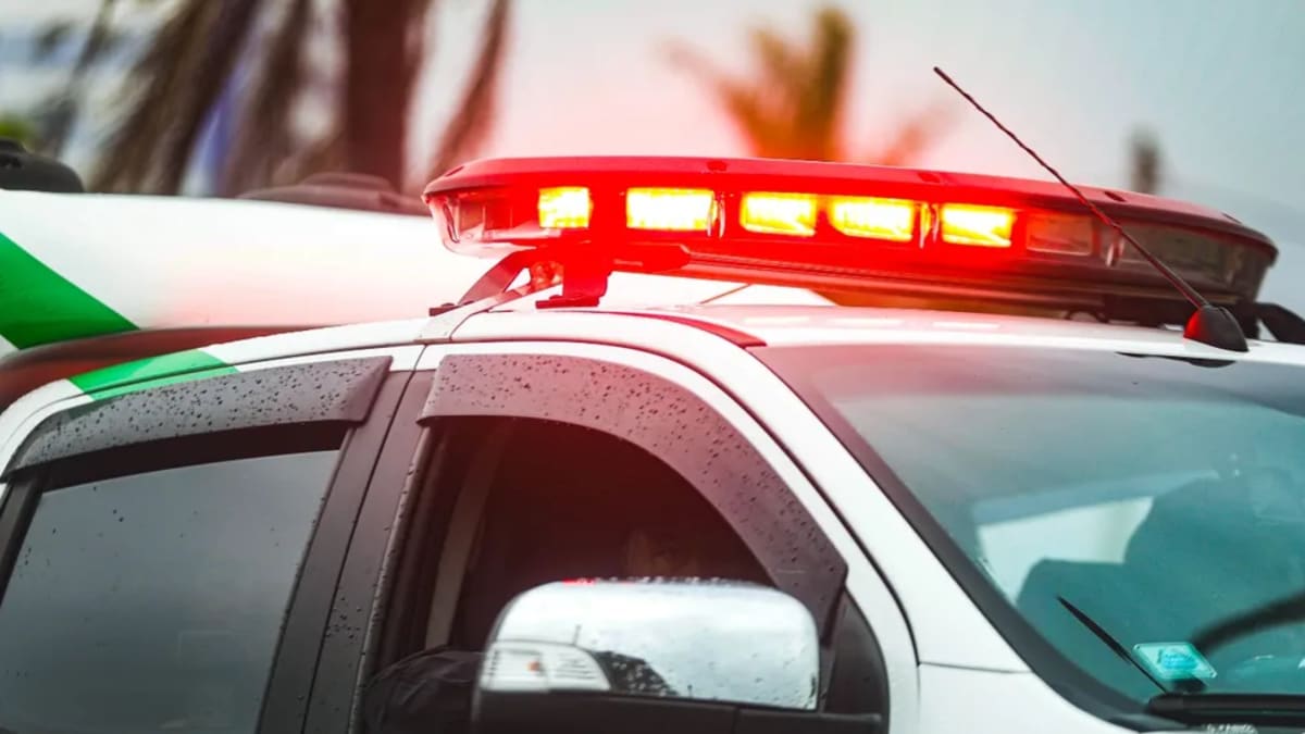 Dois homens são presos por violência doméstica e tentativa de furto em Blumenau