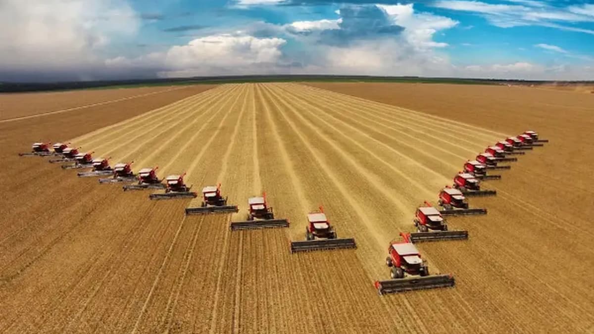 Recuperações judiciais no agronegócio de Goiás chegam a 30 casos em 2026