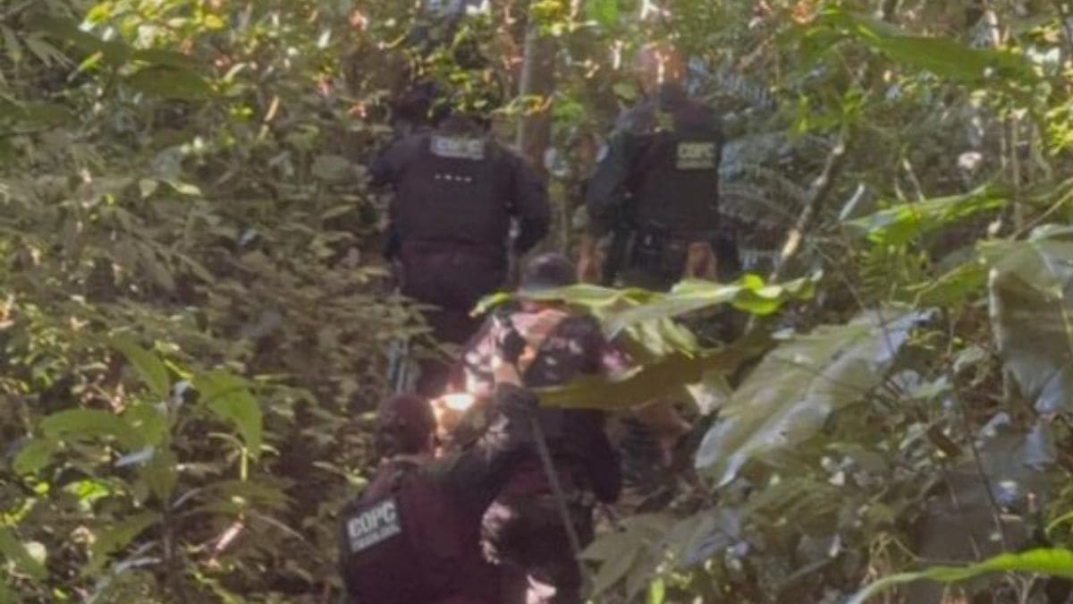 Corpo em decomposição é encontrado em área usada para esconder cadáveres na Grande Florianópolis