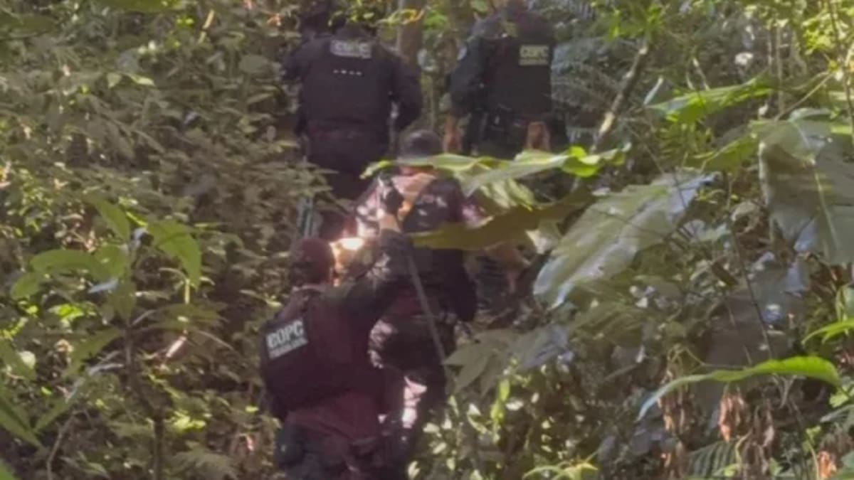 Polícia Civil realiza buscas por cadáveres em área de mata em São José