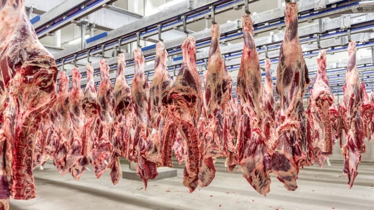 Exportações de carne bovina crescem 15% no quadrimestre de 2026