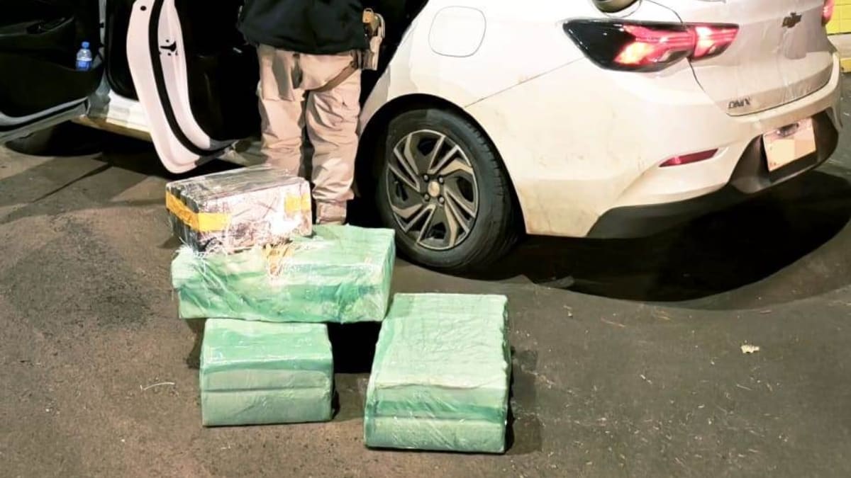 Carro carregado com 240 kg de maconha é apreendido na BR-282 durante operação da PRF em SC