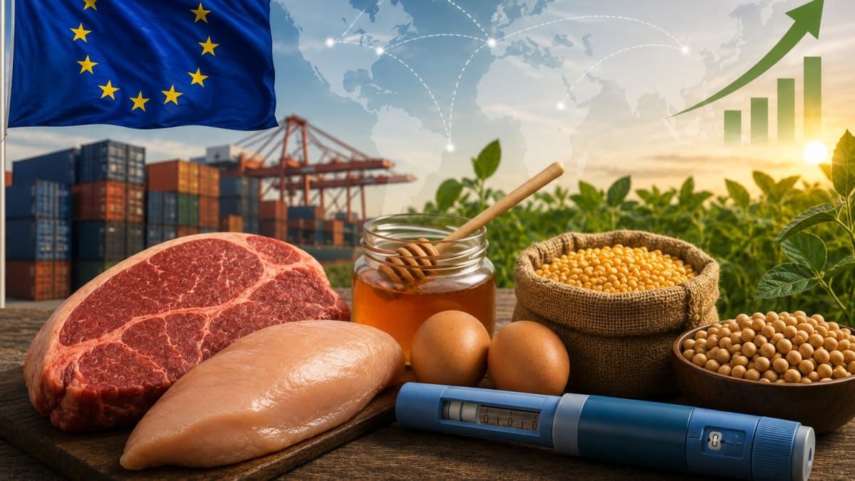 UE endurece regras e canetas emagrecedoras abrem nova frente para o agro
