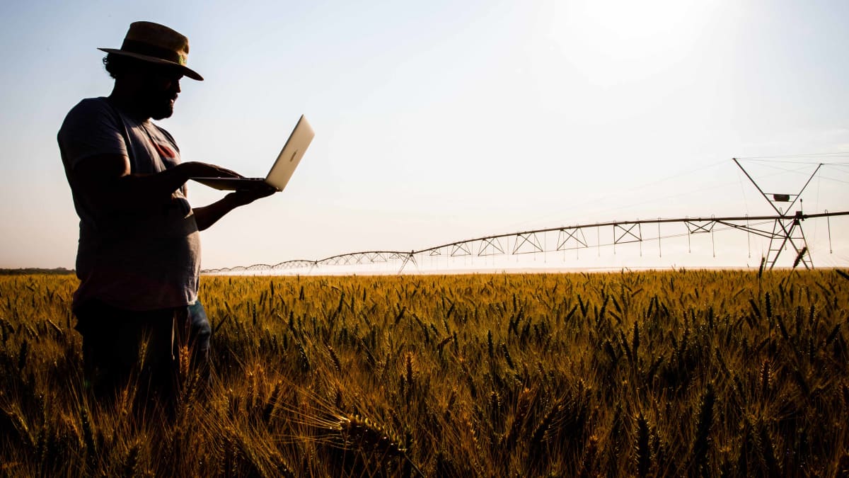 Prêmio pagará R$ 230 mil por melhor iniciativa agropecuária