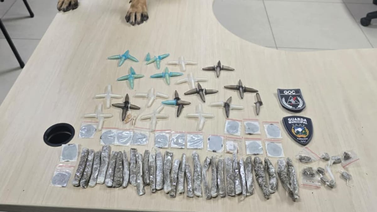 Cão farejador da Guarda de Cariacica ajuda a localizar drogas enterradas em São Benedito