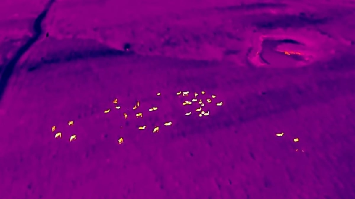 Polícia Ambiental utiliza drone com câmera térmica para monitorar áreas rurais durante operação noturna
