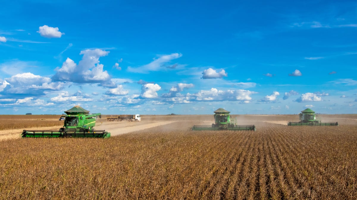 Conab: colheita de soja atinge 98,8% no Brasil