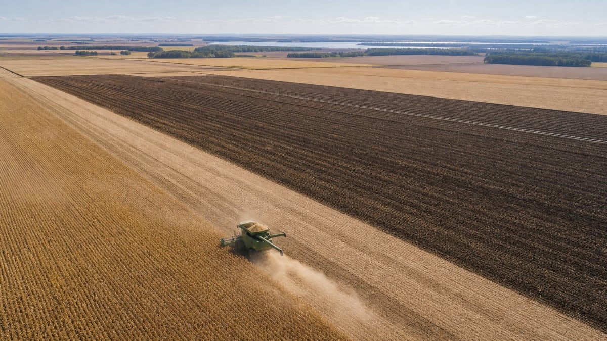 Colheita da soja 2025/26 atinge 98,8% da área no Brasil; plantio do milho de inverno é concluído