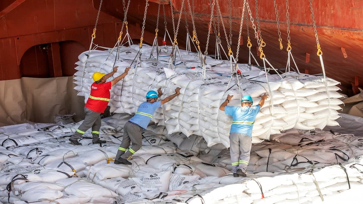 Sindicato dos Estivadores programa novas paralisações no Porto de Santos contra mudanças na contratação
