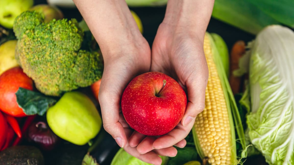 Evento em Caxias do Sul reúne gestores para debater segurança alimentar urbana