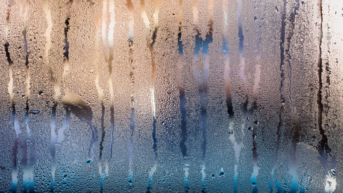 Santa Catarina enfrenta frio intenso com temperaturas negativas em regiões altas até sexta-feira