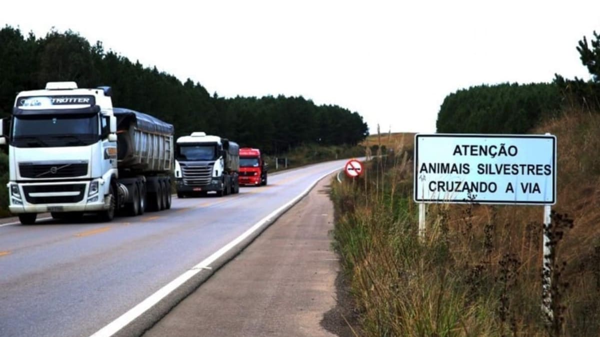 Investimento de R$ 198,6 milhões será aplicado em obras nas rodovias RSC-453 e ERS-486 no Rio Grande do Sul
