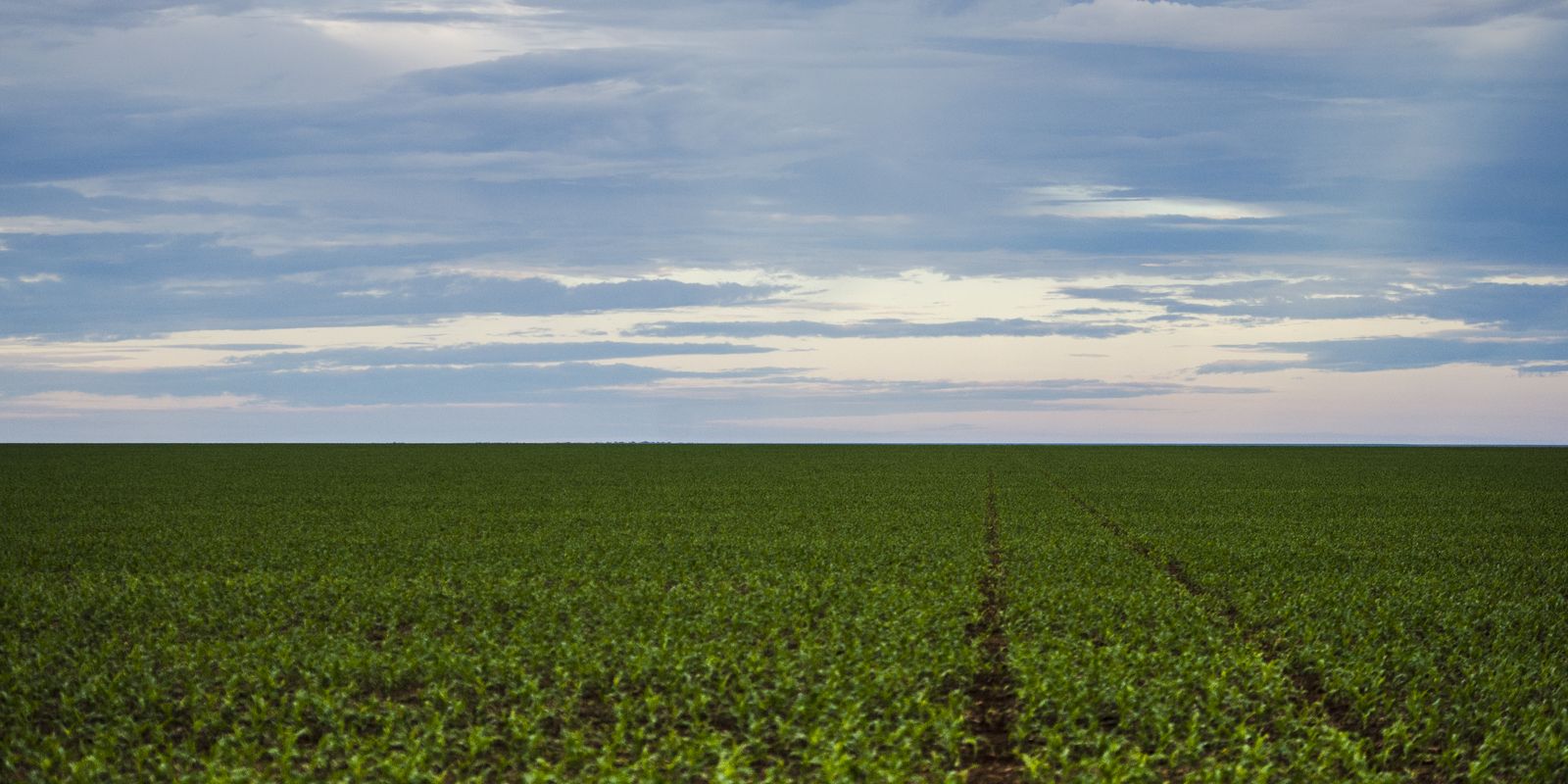 Equipe econômica avalia fundo garantidor para agronegócio