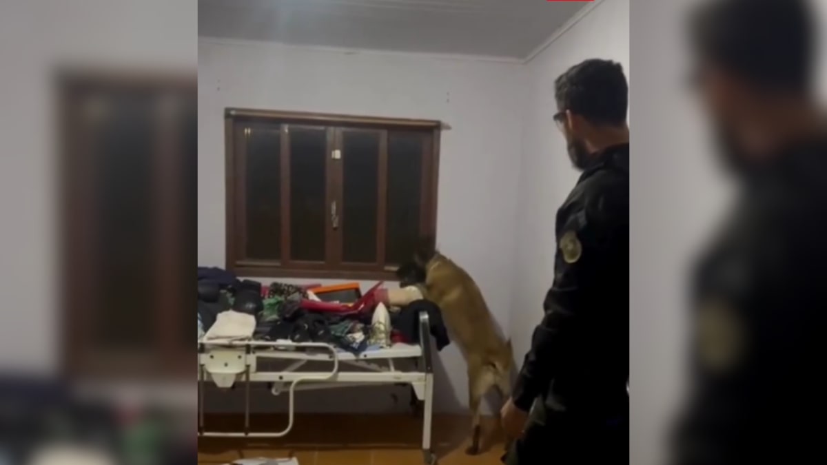 Polícia realiza operação contra suspeito com extenso histórico criminal em Santa Catarina