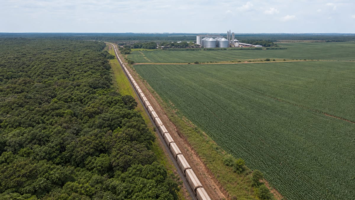 STF mantém lei que altera limites do Parque Nacional do Jamanxim vinculada à Ferrogrão
