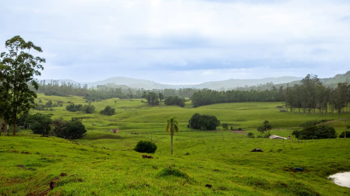 Frio e nebulosidade predominam no Rio Grande do Sul nesta sexta-feira com possibilidade de geada e chuva no Norte