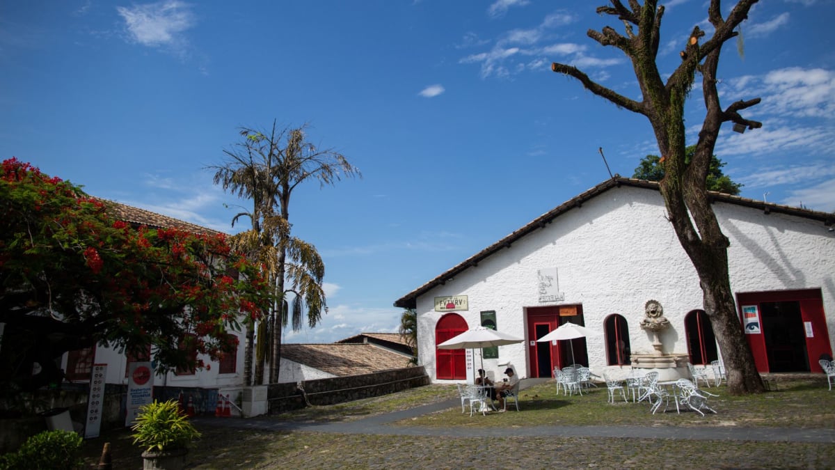 Museu de Arte Moderna da Bahia promove Semana de Museus com atividades gratuitas até 28 de junho