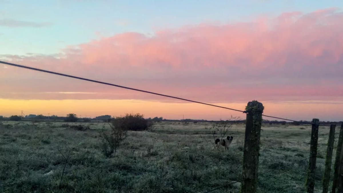 Porto Alegre registra temperaturas mínimas abaixo de 8°C e previsão indica chuvas fracas para sábado