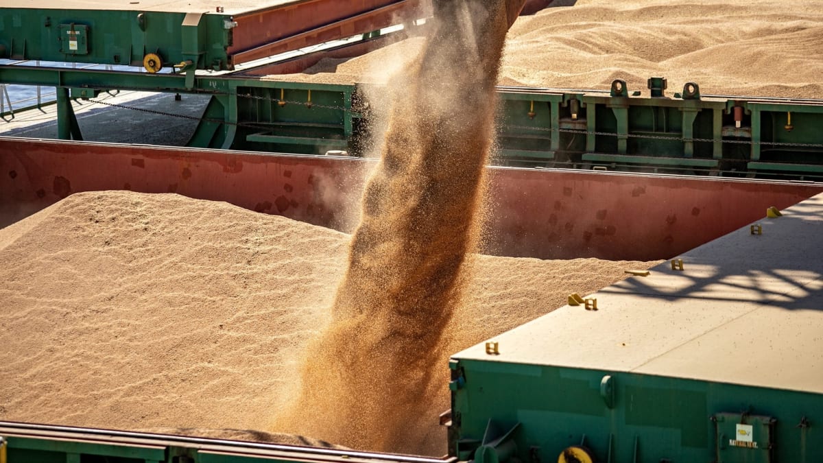 Paraná aumenta exportação de soja e lidera no Sul do Brasil em 2026