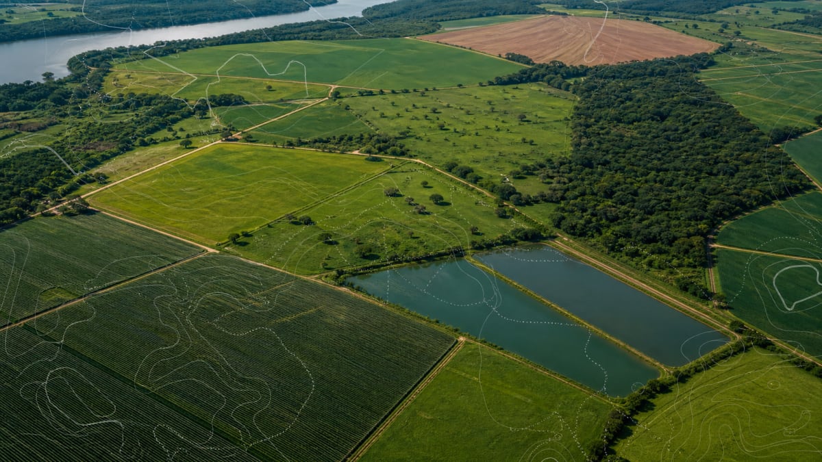 IBGE anuncia planejamento para 2026-2032 e destaca próximo Censo Agropecuário, Florestal e Aquícola